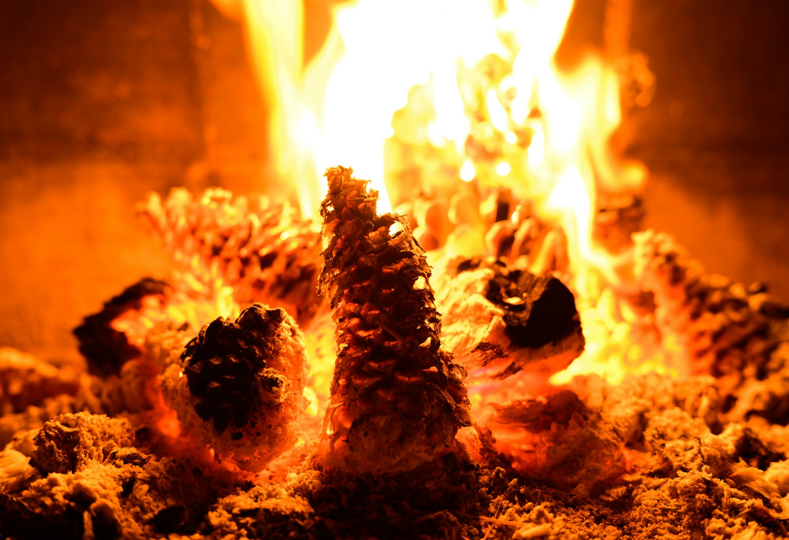 Wir feiern KNUT 2026